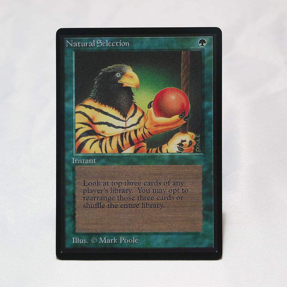 Natural Selection B Limited Edition Beta (LEB) Normal – MTG Proxy